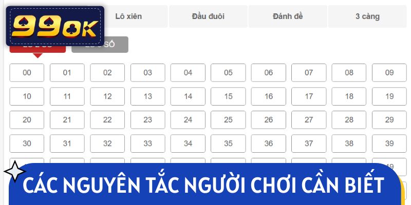 Các nguyên tắc quan trọng người chơi cần biết 