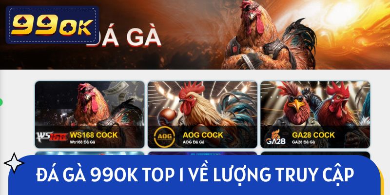Đá gà 99OK đứng top 1 về lượng truy cập mỗi ngày