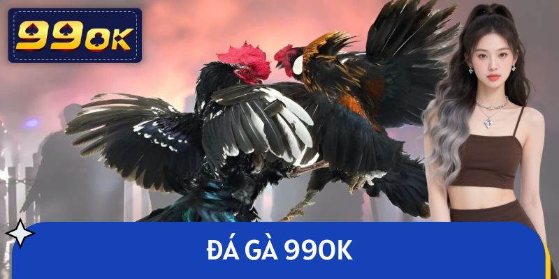 Đá Gà 99OK - Trực Tiếp 100+ Trận Đỉnh Cao, Kèo Cược Hấp Dẫn
