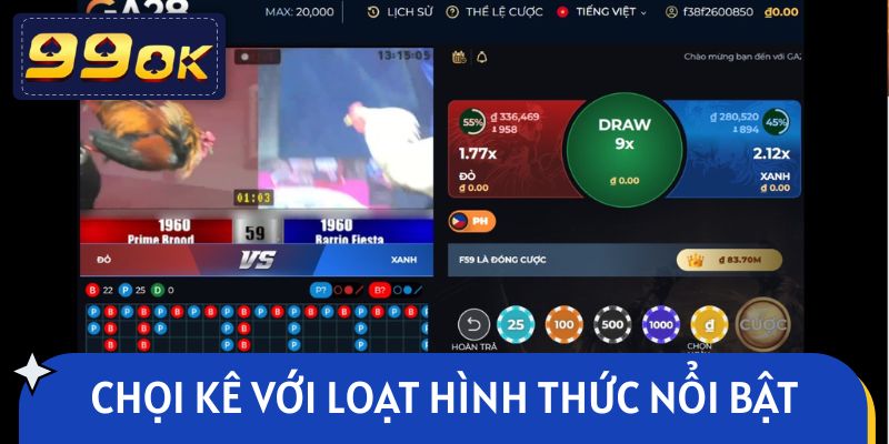 Trải nghiệm chọi kê với loạt hình thức đá gà 99OK nổi bật